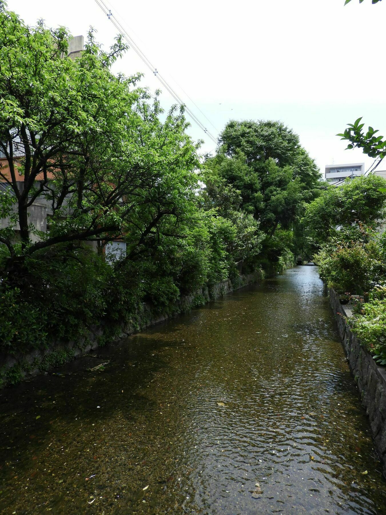 Kyoto Takasegawa Bettei Hotel Exterior photo